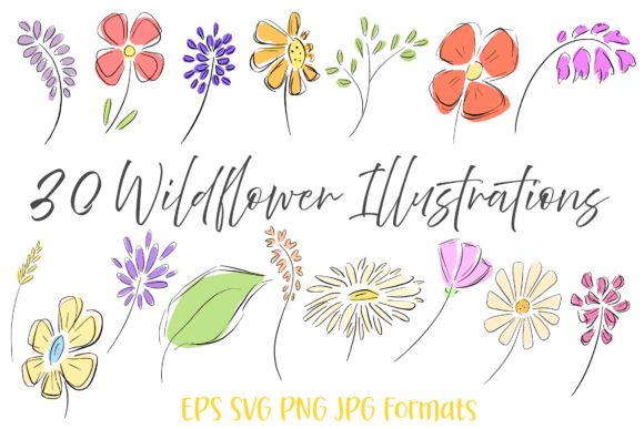 30 Wildflowers Hand Drawn Clipart: Spring Floral Design Assets